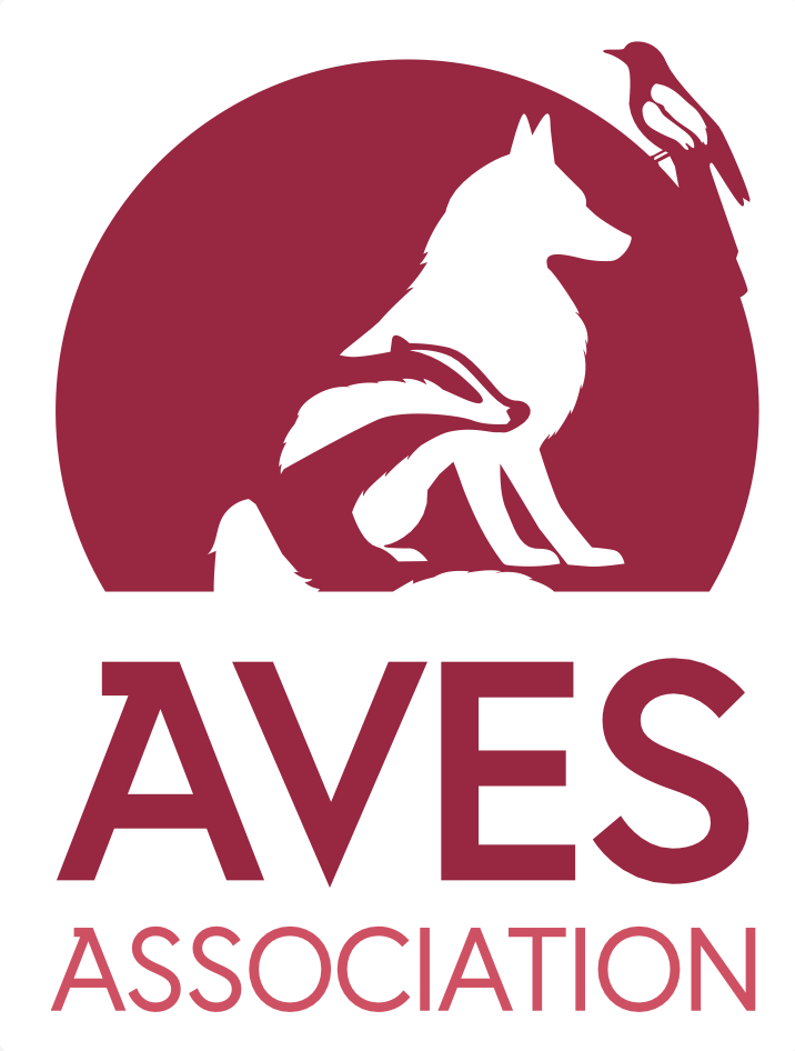 Aves